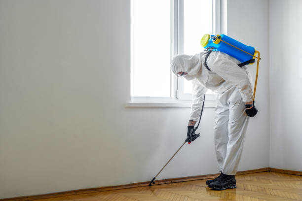 Best Termite Control Services  in Shippensburg, PA
