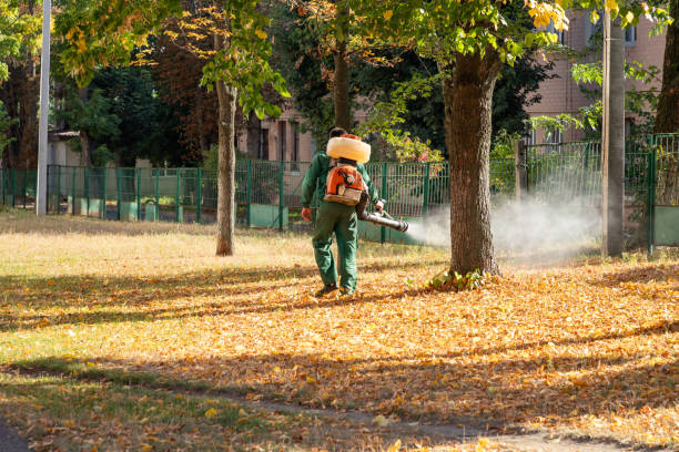Best Wasp Removal Services  in Shippensburg, PA