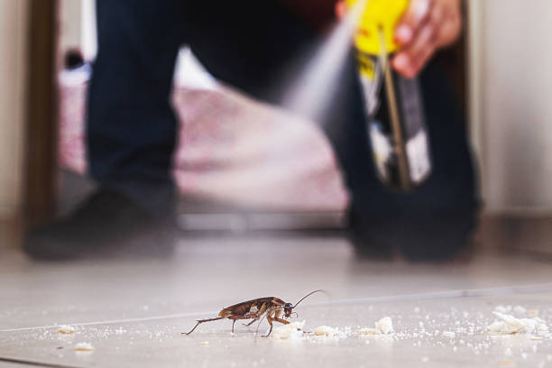 Best Flea Control Services  in Shippensburg, PA